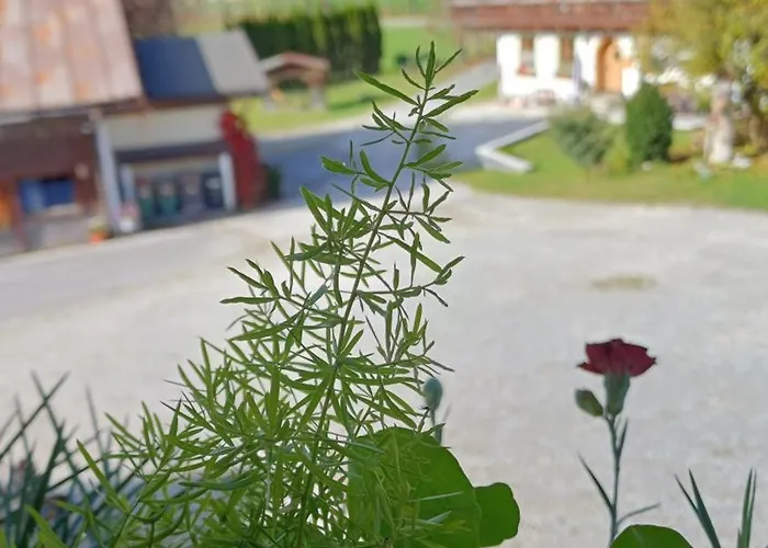 Prandhof Himmelbettwohnung Appartamento *