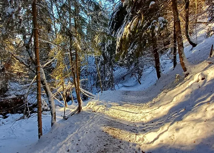 Prandhof Himmelbettwohnung Appartamento